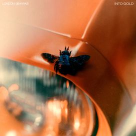 Into Gold - 2024 • Single/EP