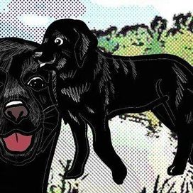 Three Black Labradors - 2018 • Single/EP