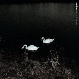 Våge Å Elske - 2022 • Sencillo/EP