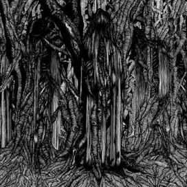 Black One - 2005 • Álbum