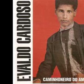 Caminhoneiro do Amor - 1994 • Álbum