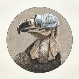 Volition - 2013 • Álbum