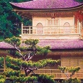 Kinkakuji - 2017 • Álbum