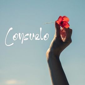 Consuelo - Materia