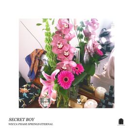 Secret Boy - 2016 • Álbum