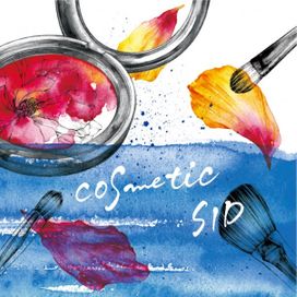 Cosmetic - 2010 • Álbum