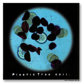 Cell - 2004 • Álbum