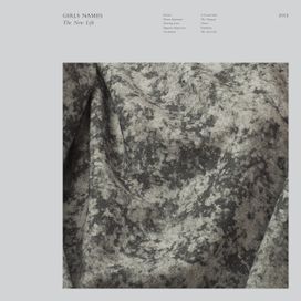 The New Life - 2013 • Álbum