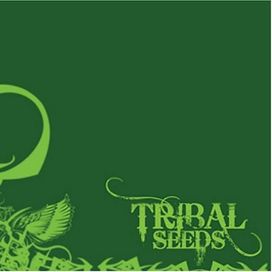 Tribal Seeds - 2008 • Álbum