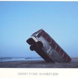 Gooseflesh - 2000 • Álbum
