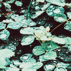Rain chamber - 2021 • Sencillo/EP
