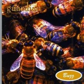 Buzz - 1995 • Álbum