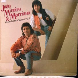 Pra Não Pensar Em Você  - 1991 • Álbum