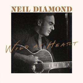 Wild At Heart - 2026 • Álbum