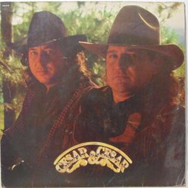 Diz Que Me Ama  - 1991 • Álbum
