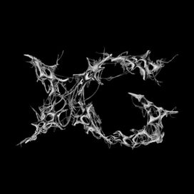 AWE - 2024 • Álbum