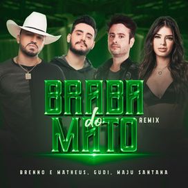 Braba do Mato (remix) (part. GUDI e Maju Santana) - 2023 • Single/EP