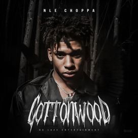Cottonwood - 2019 • Álbum
