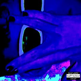 Te Vejo em Aoshima - 2024 • Single/EP