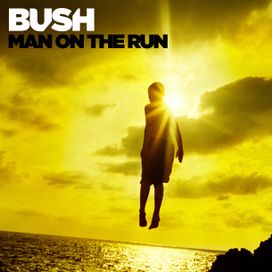 Man on the run - 2014 • Álbum