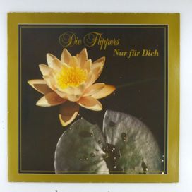 Nur Für Dich - 1988 • Álbum