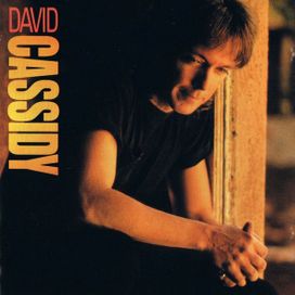 David Cassidy (1990) - 1990 • Álbum