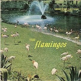The Flamingos - 1959 • Álbum
