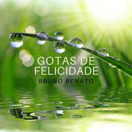 Gotas de Felicidade - 2020 • Single/EP