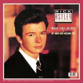 When I Fall In Love / My Arms Keep Missing You  - 1987 • Sencillo/EP
