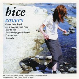 Covers - 2000 • Álbum