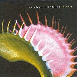Rarities, B Sides and Slow, Sad Waltzes - 1999 • Álbum