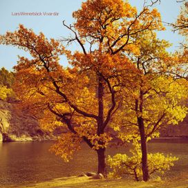 Vi Var Där - 2017 • Álbum