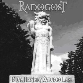 Dwa Hektary Zywego Lasu - 2006 • Álbum