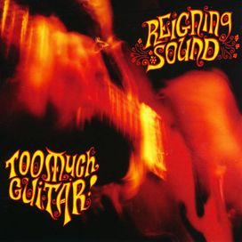 Too Much Guitar - 2004 • Álbum