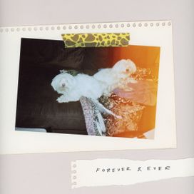 Forever &amp; Ever - 2018 • Álbum
