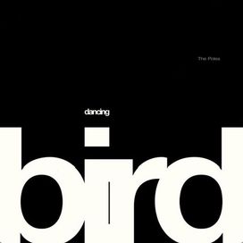 Dancing Bird  - 2025 • Single/EP