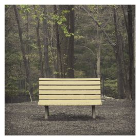 The Hands That Thieve - 2013 • Álbum