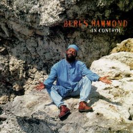In Control - 1994 • Álbum