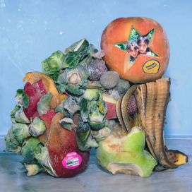 Fruit For Flies - 2024 • Álbum
