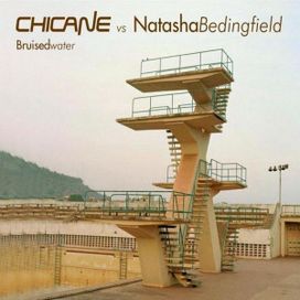 Bruised Water (Remixes) - 2008 • Single/EP