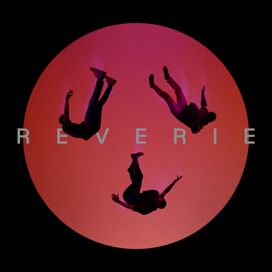 Reverie - Flawes