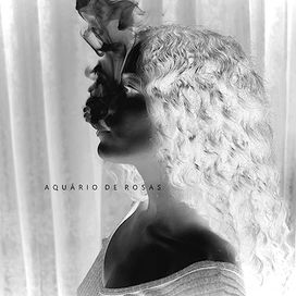 Aquário de Rosas - Os Surfistas do Vinil