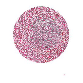 An Abundance of Strawberries - 2016 • Álbum