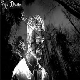 Fake Dream - Seiya - Void