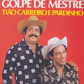 Golpe de Mestre - 1979 • Coletânea