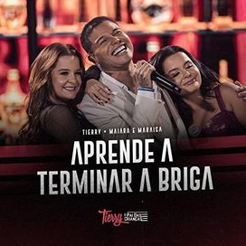 Aprende a Terminar a Briga (part. Tierry) - 2021 • Single/EP