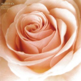 Best Flower (B Side Collection) - Sunny Day Service