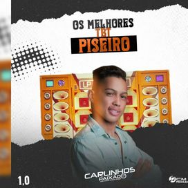 Os Melhores TBT Piseiro - 2025 • Álbum