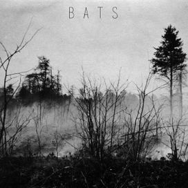 Bats - 2017 • Álbum