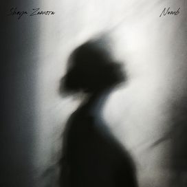 Numb - 2025 • Single/EP